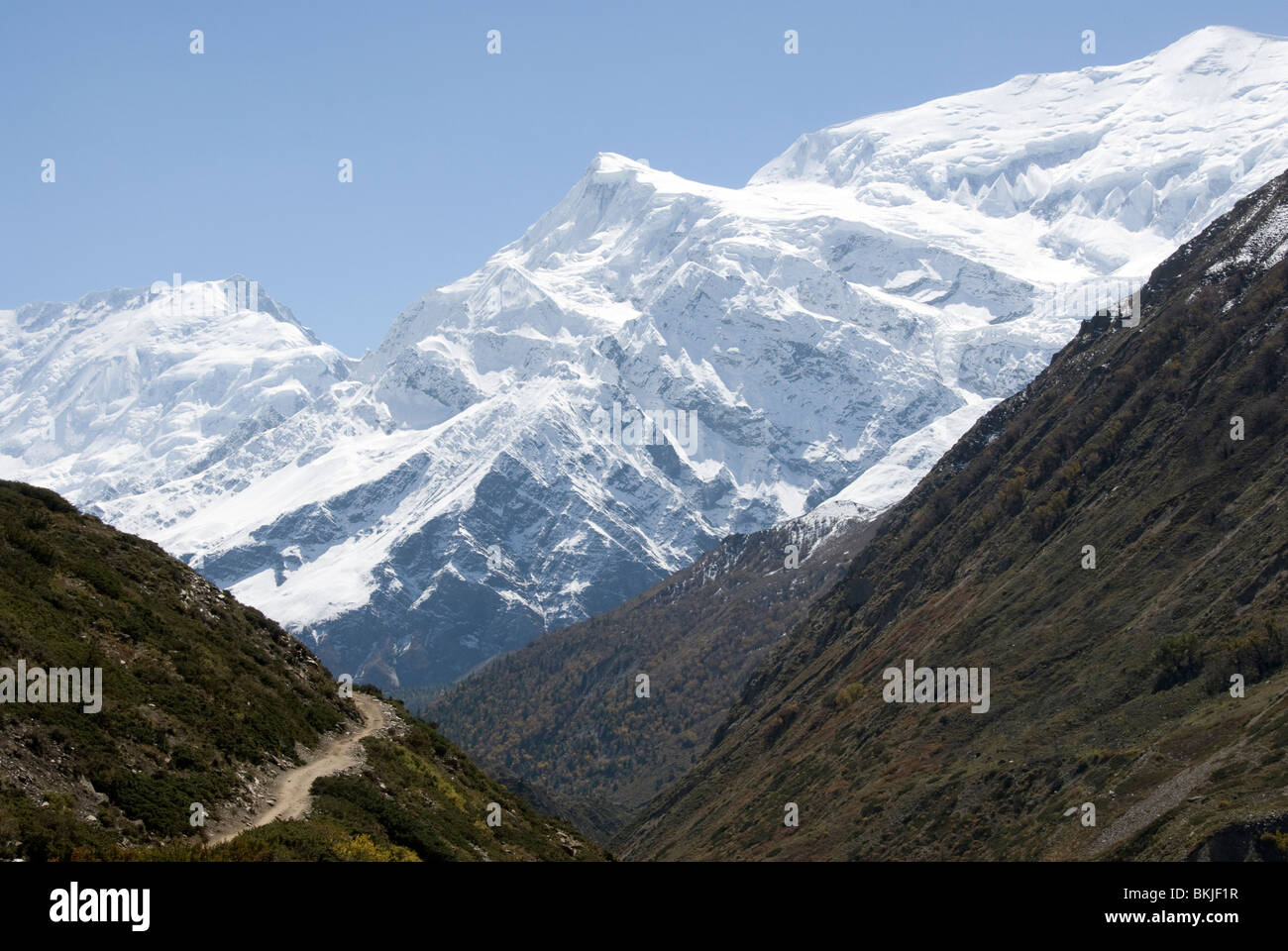 Via montagna, Yak Kharta, vicino Manang, Circuito di Annapurna, Nepal Foto Stock