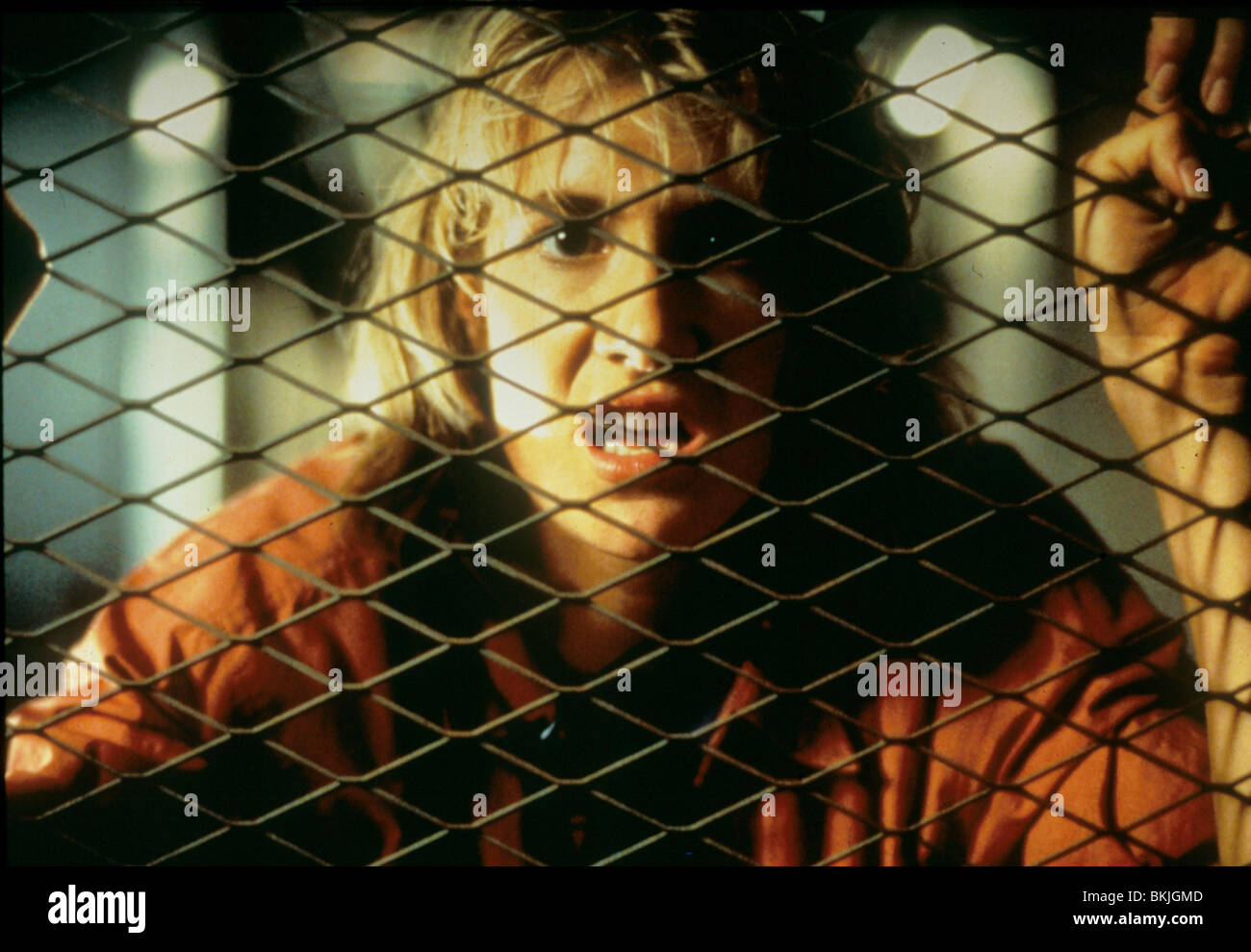 JURASSIC PARK -1993 Laura Dern Foto Stock