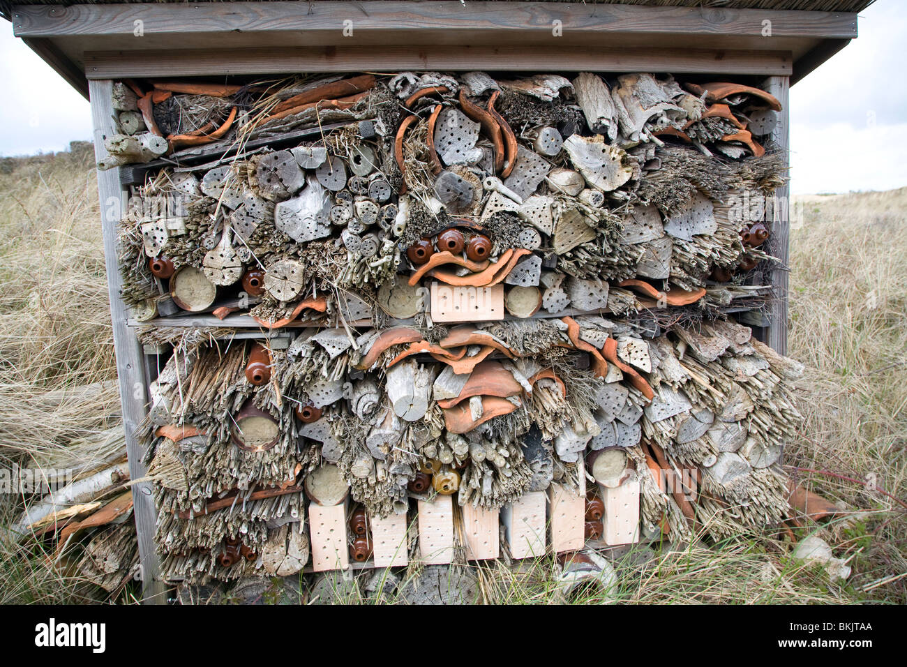 Un insetto hotel per le vespe e api, Ecomare, Texel, Paesi Bassi, Foto Stock