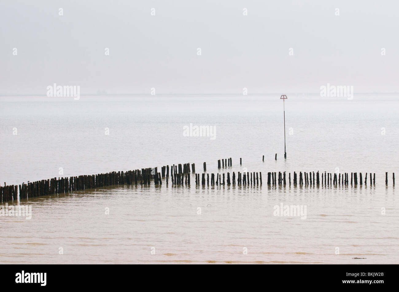 Schema Polder sulle velme a East Mersea in Essex Foto Stock