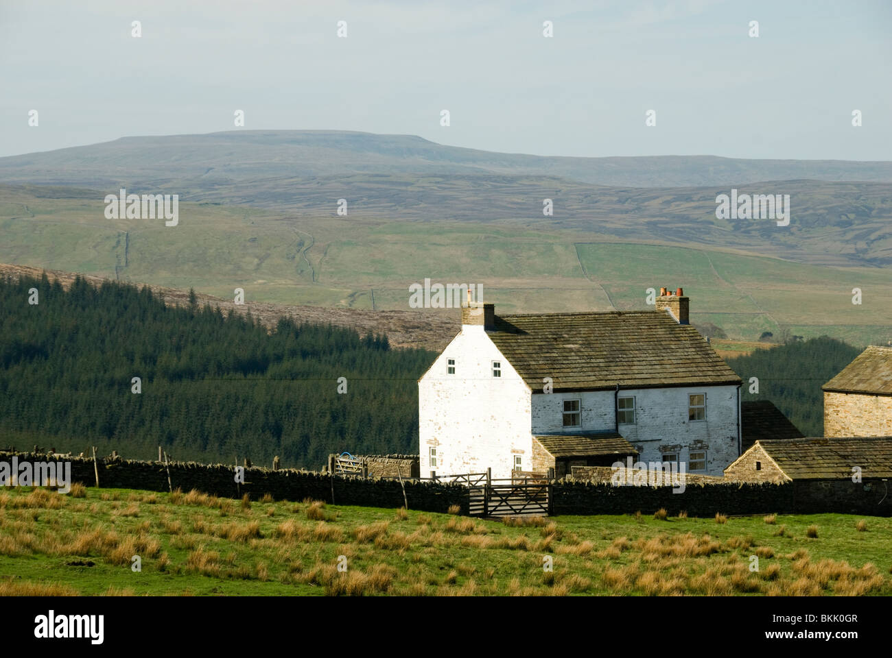 Un telecomando hill farm vicino Garrigill Alston, Cumbria, Inghilterra, Regno Unito. Dietro la Croce è caduto, il punto più alto del Pennine hills. Foto Stock