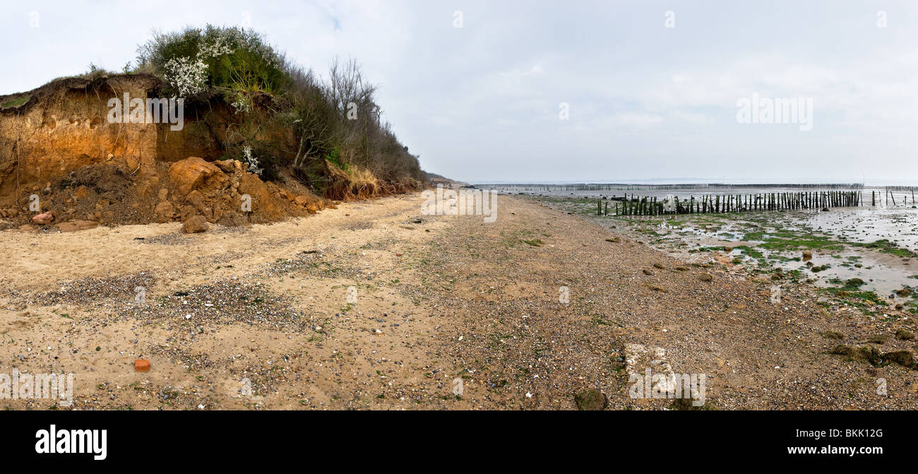 Cliff erosione a East Mersea in Essex. Foto Stock