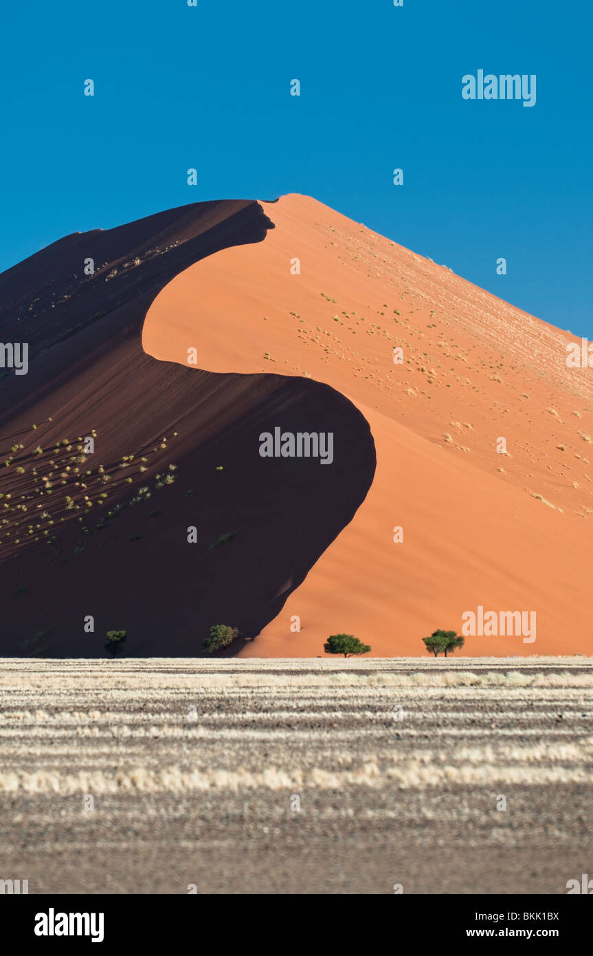 Dune 45 in Sossusvlei, Namibia Foto Stock