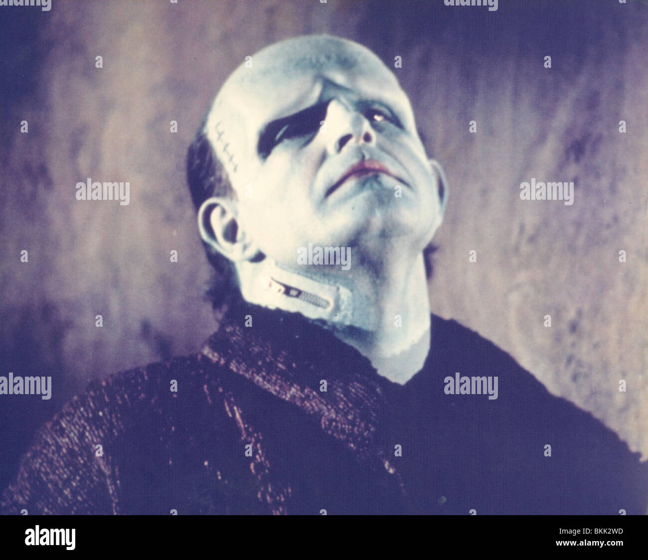 Giovane Frankenstein (1974) Peter BOYLE YFS1 006CP Foto Stock