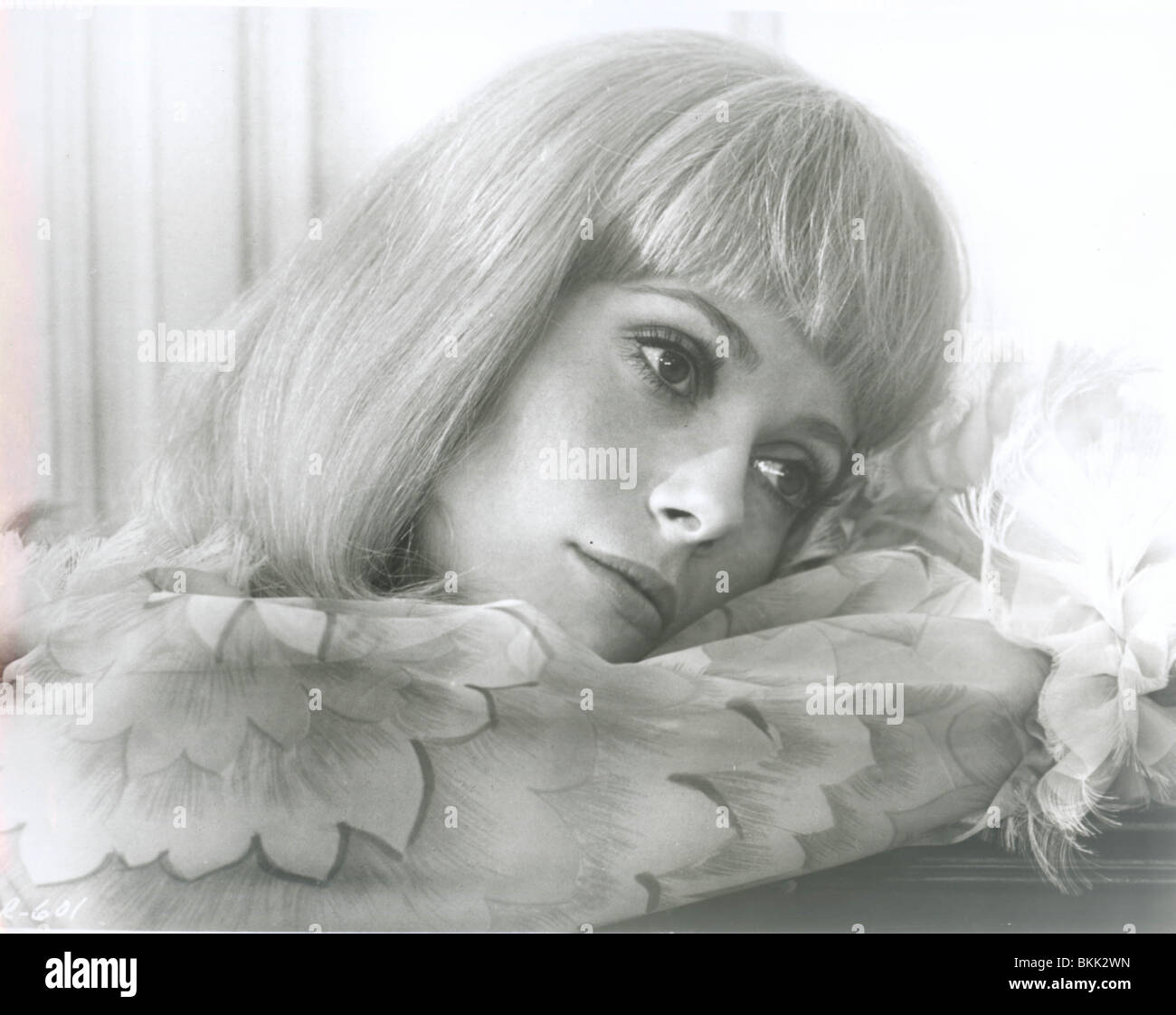 Le ragazze DI ROCHEFORT (1967) Catherine Deneuve YGOR 001P Foto Stock