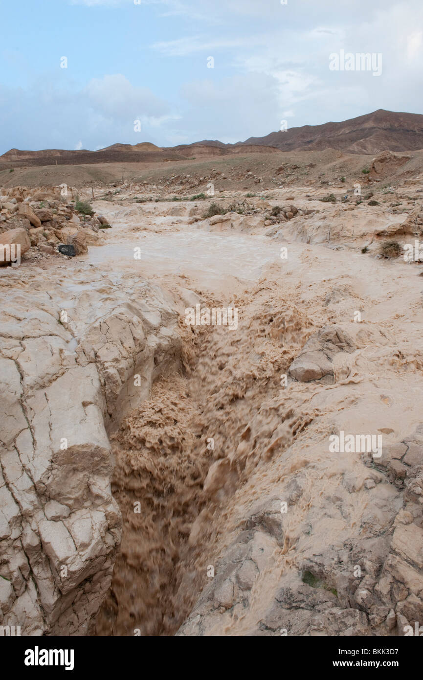 Israele Mar Morto, un'alluvione del fiume Kidron lava via la strada Foto Stock