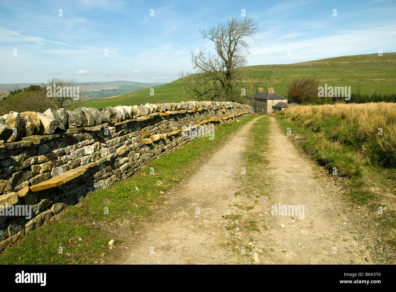 Stalattite parete che mostra chiaramente una linea di "through', e la via che conduce a una fattoria vicino a Garrigill Alston, Cumbria, England, Regno Unito Foto Stock