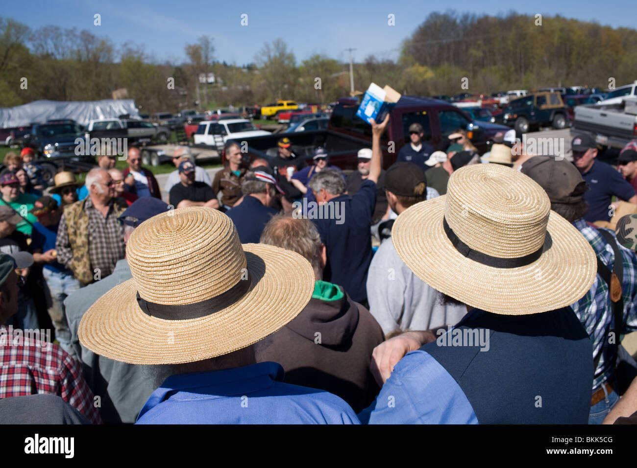 Amish gli uomini in cappelli di paglia presso l'azienda asta nella zona centrale dello Stato di New York, Mohawk Valley Foto Stock