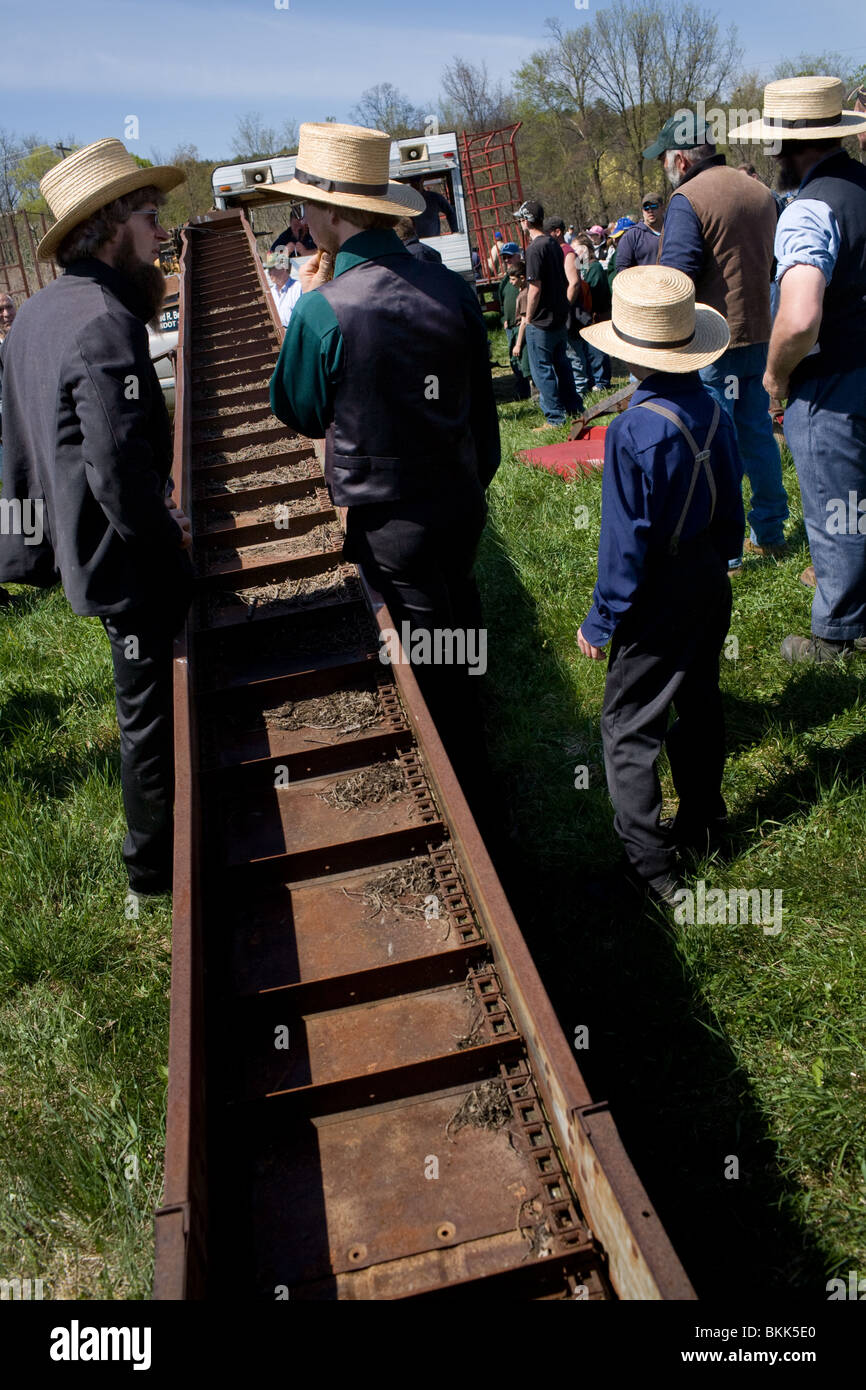 Amish di uomini e ragazzi in cappelli presso l'azienda asta nella zona  centrale dello Stato di New York, Mohawk Valley Foto stock - Alamy