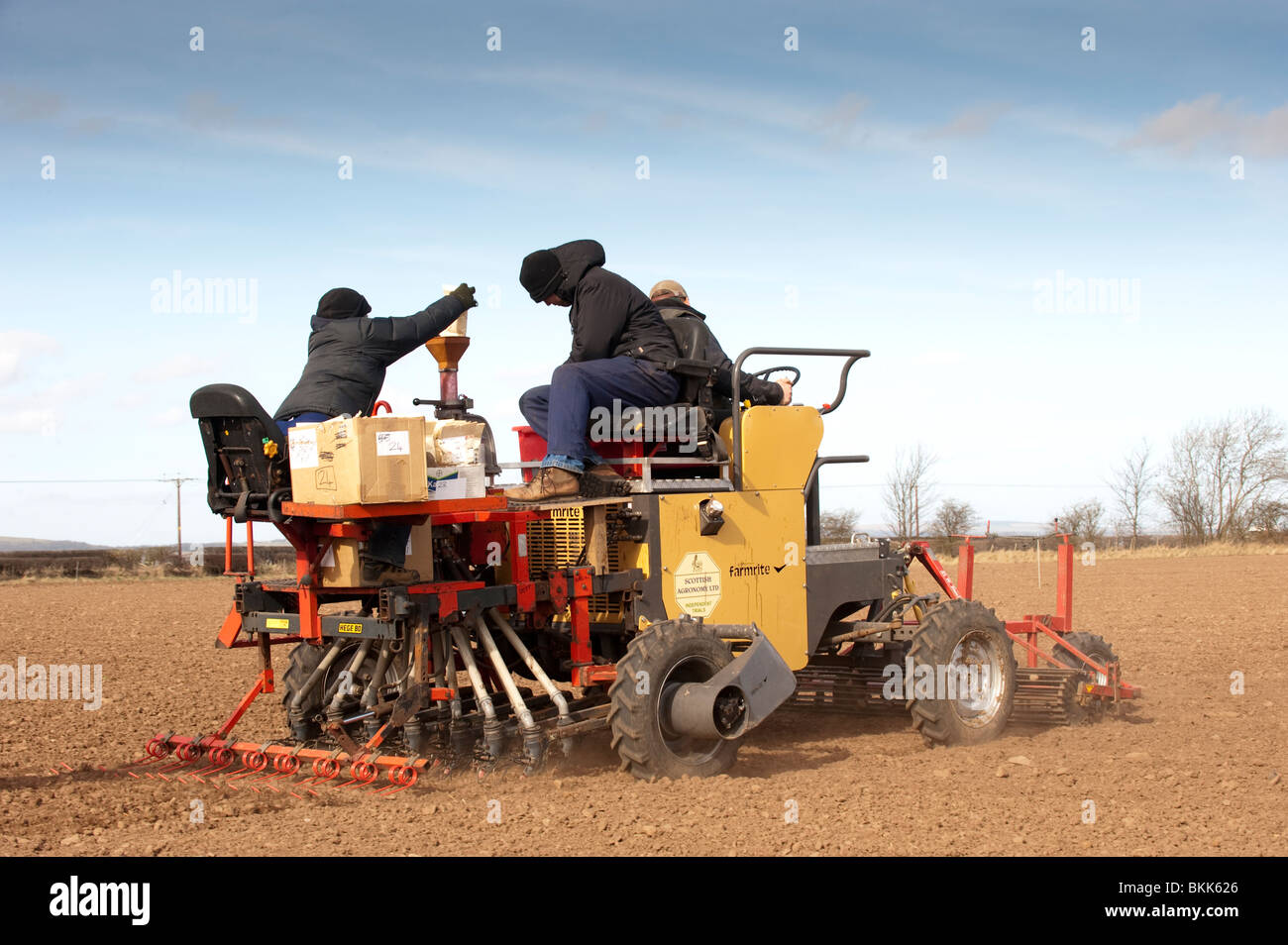 Prova impianto tenute con orzo primaverile utilizzando un settore specializzato della seminatrice. Foto Stock