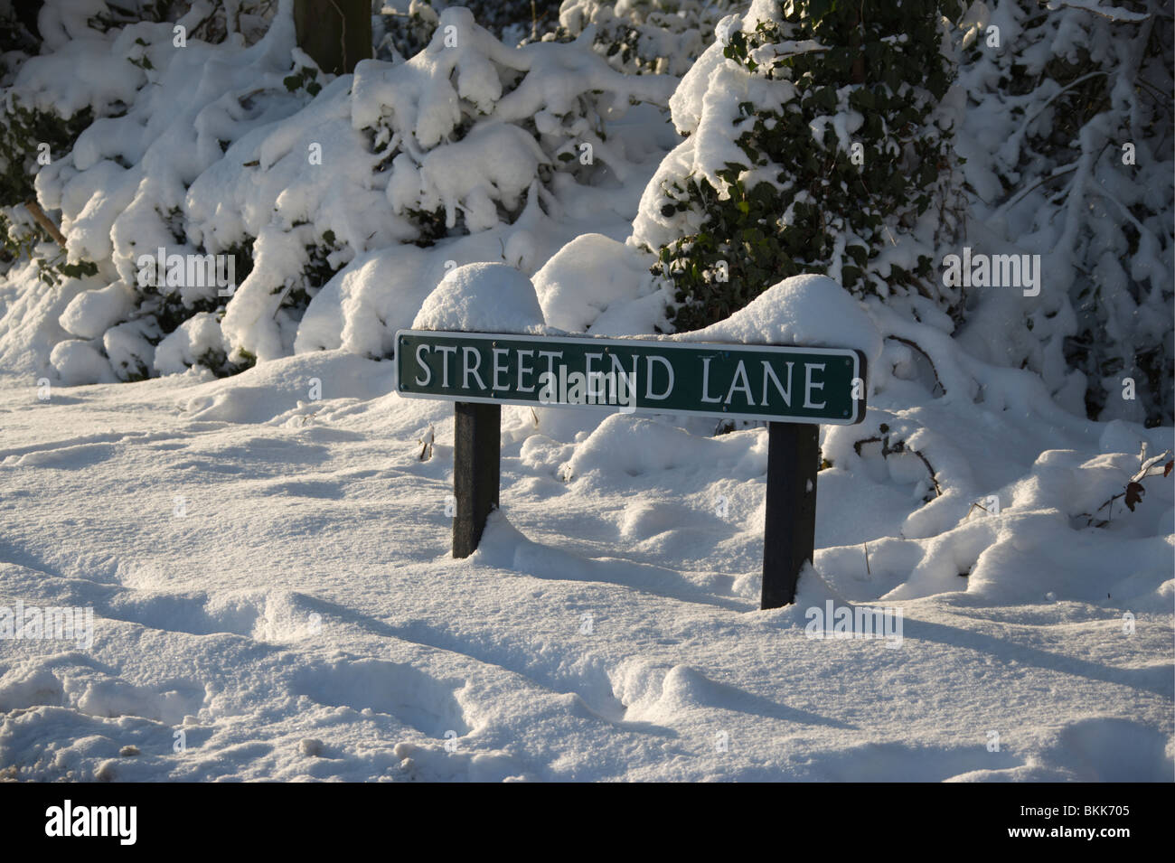 Street end lane segno Foto Stock