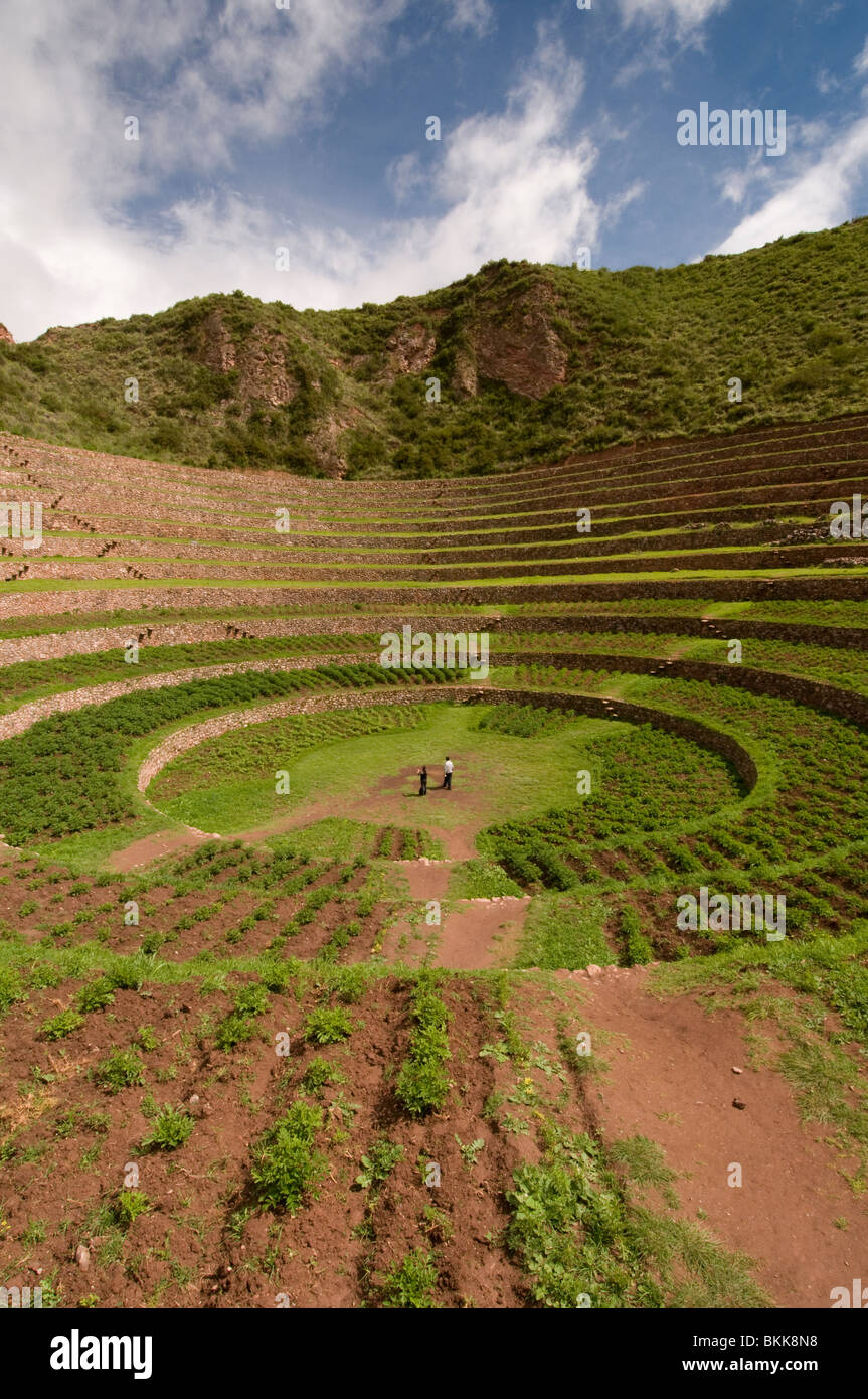 Moray Inca sito archeologico in Perù Foto Stock