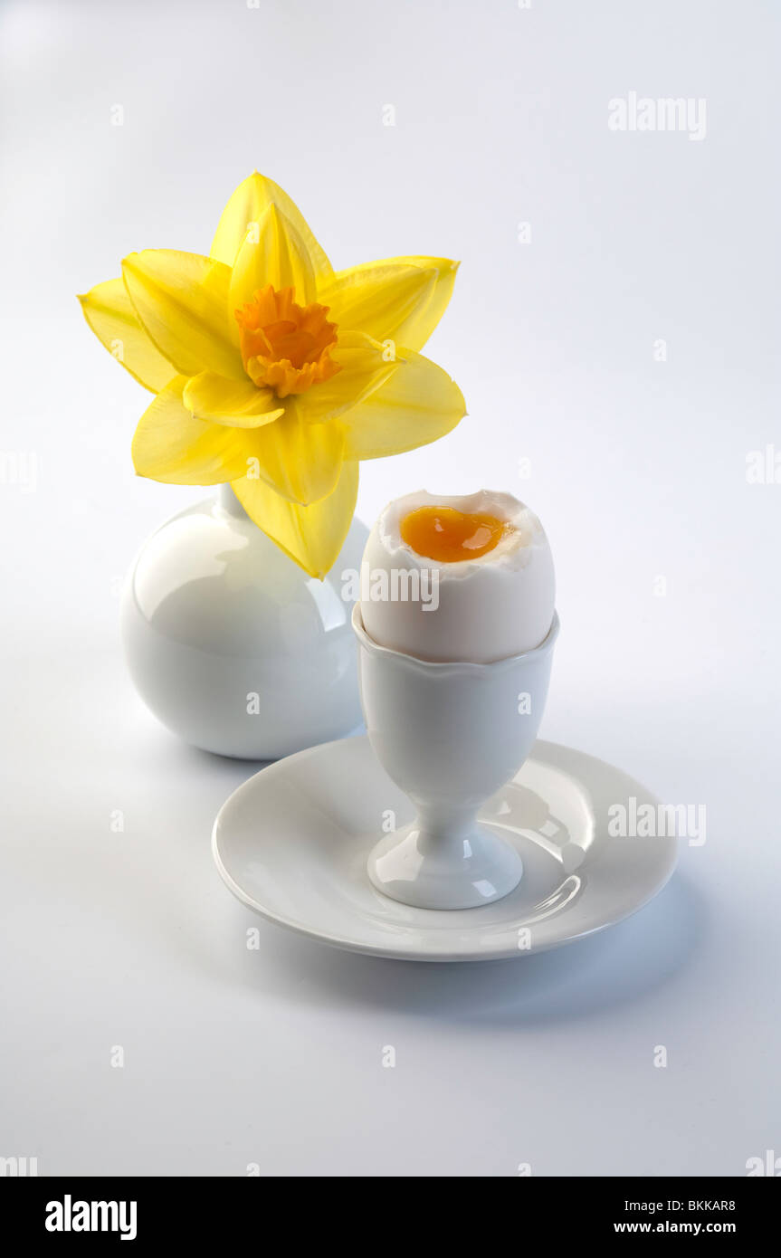 Daffodil e bolliti Duck egg con porcellana bianca. Foto Stock