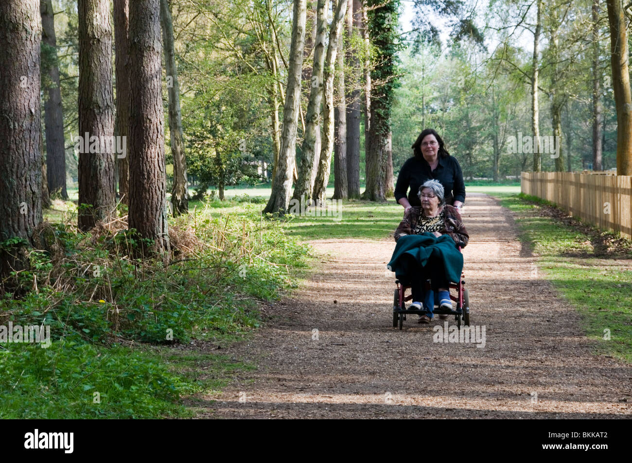 Disabili Accesso per sedia a rotelle per la campagna - un percorso attraverso il Sandringham Country Park in Norfolk, Inghilterra Foto Stock