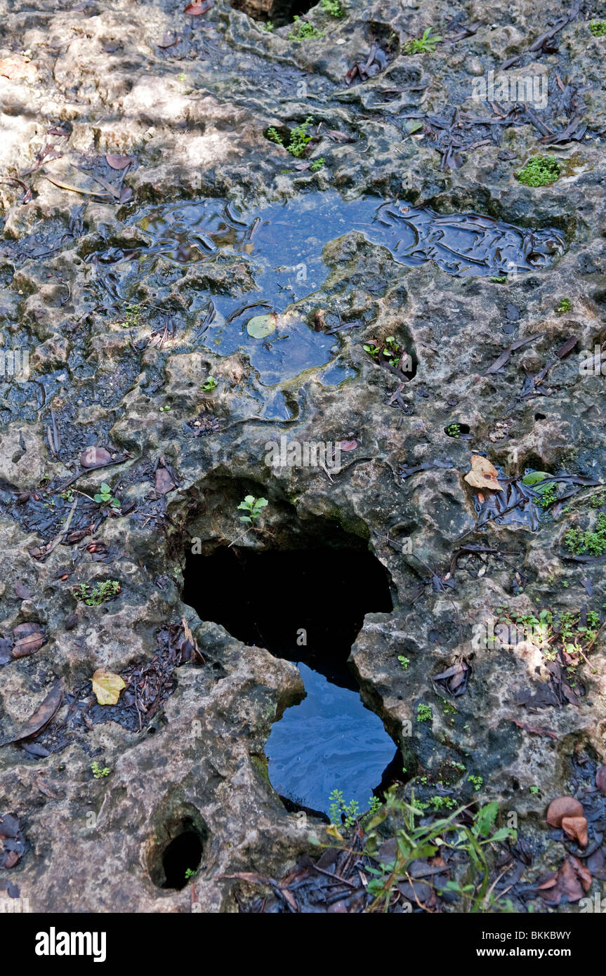 Soluzione fori, Everglades, Florida, Stati Uniti d'America Foto Stock