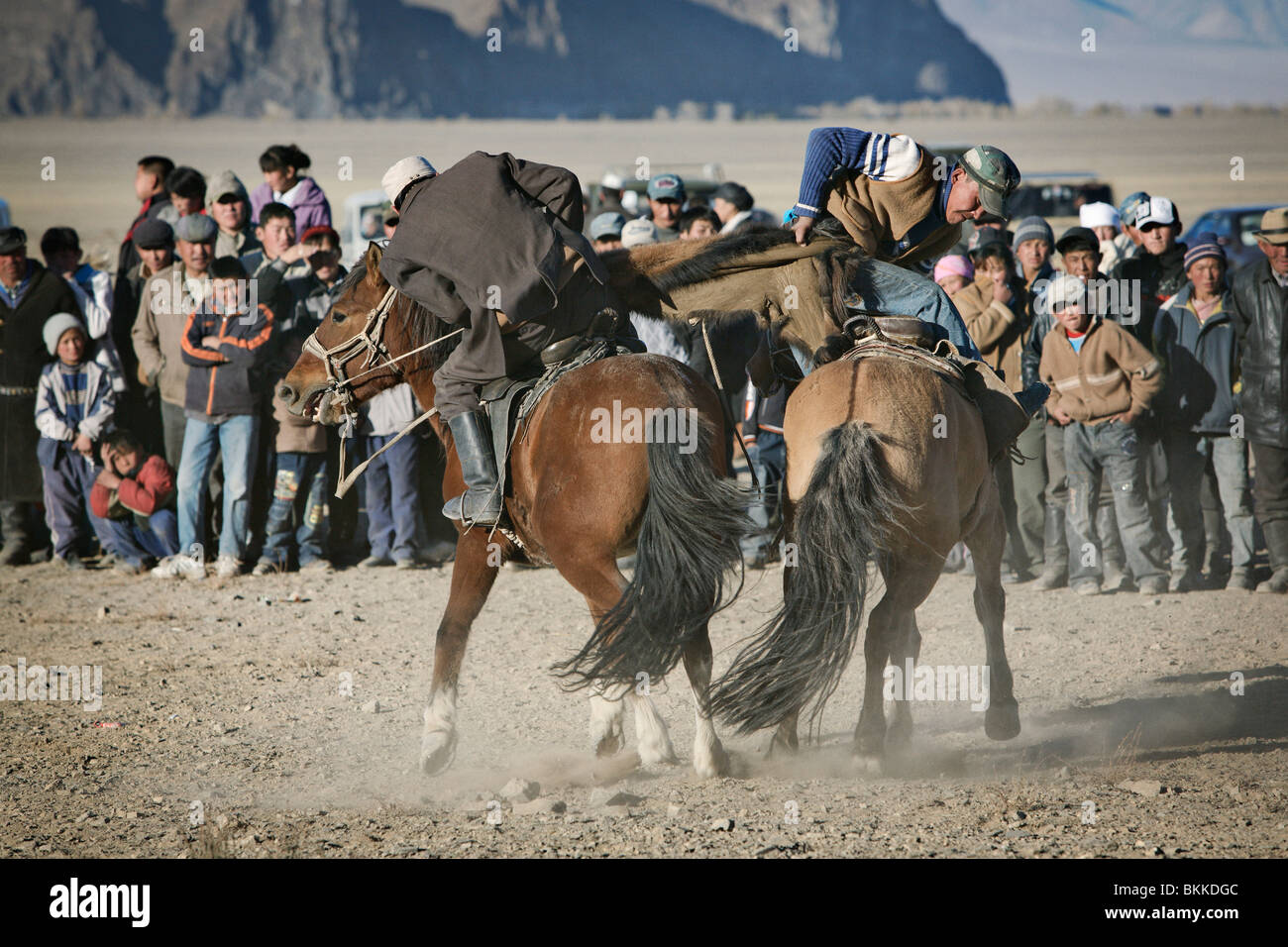 Cavallo match wrestling (kokpar) all'annualmente Golden Eagle festival in bayan Olgii, Mongolia occidentale. Foto Stock