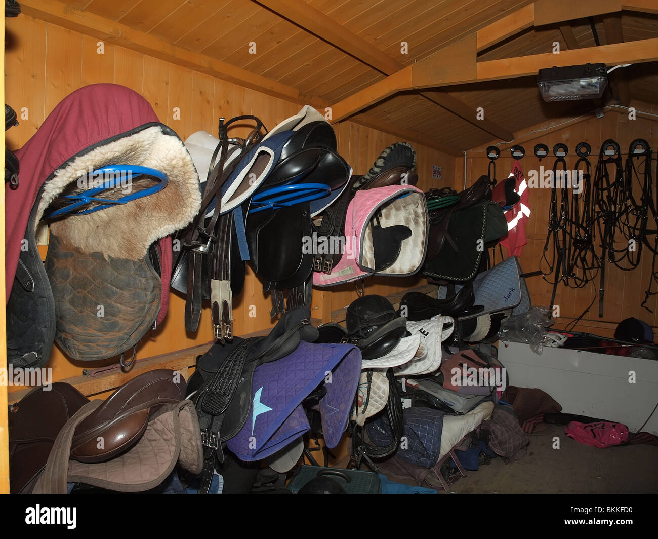 Un tackroom presso un cantiere e riempito con vari bulletta per il cavallo Foto Stock
