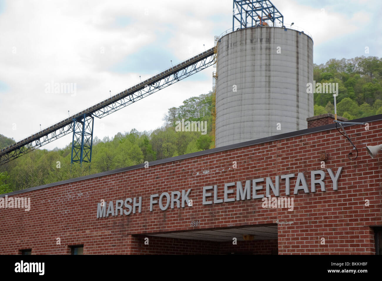 Forcella di palude scuola elementare con carbone vegetale di elaborazione in background Foto Stock