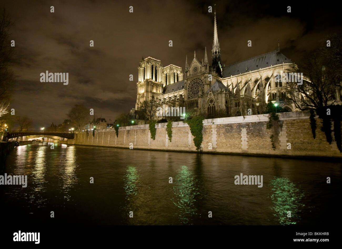 La cattedrale di Notre Dame accanto al fiume Senna di notte a Parigi Francia Foto Stock