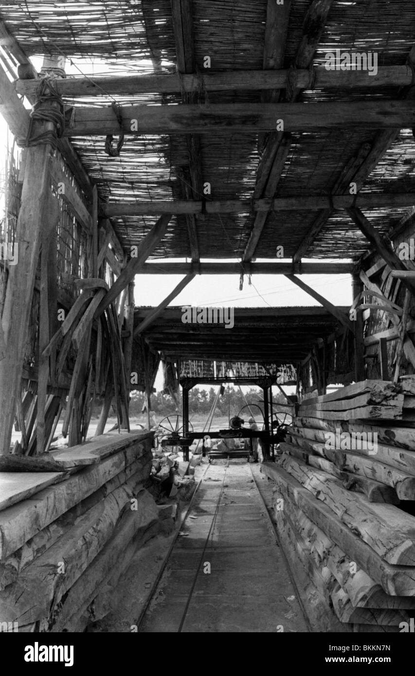 Una segheria in un cantiere a Ra al-Barr, nel Delta del Nilo di Egitto Foto Stock