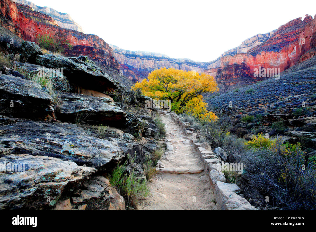 Il Bright Angel trail vicino giardino indiano nel tardo autunno nel Parco Nazionale del Grand Canyon, Arizona, Stati Uniti d'America Foto Stock