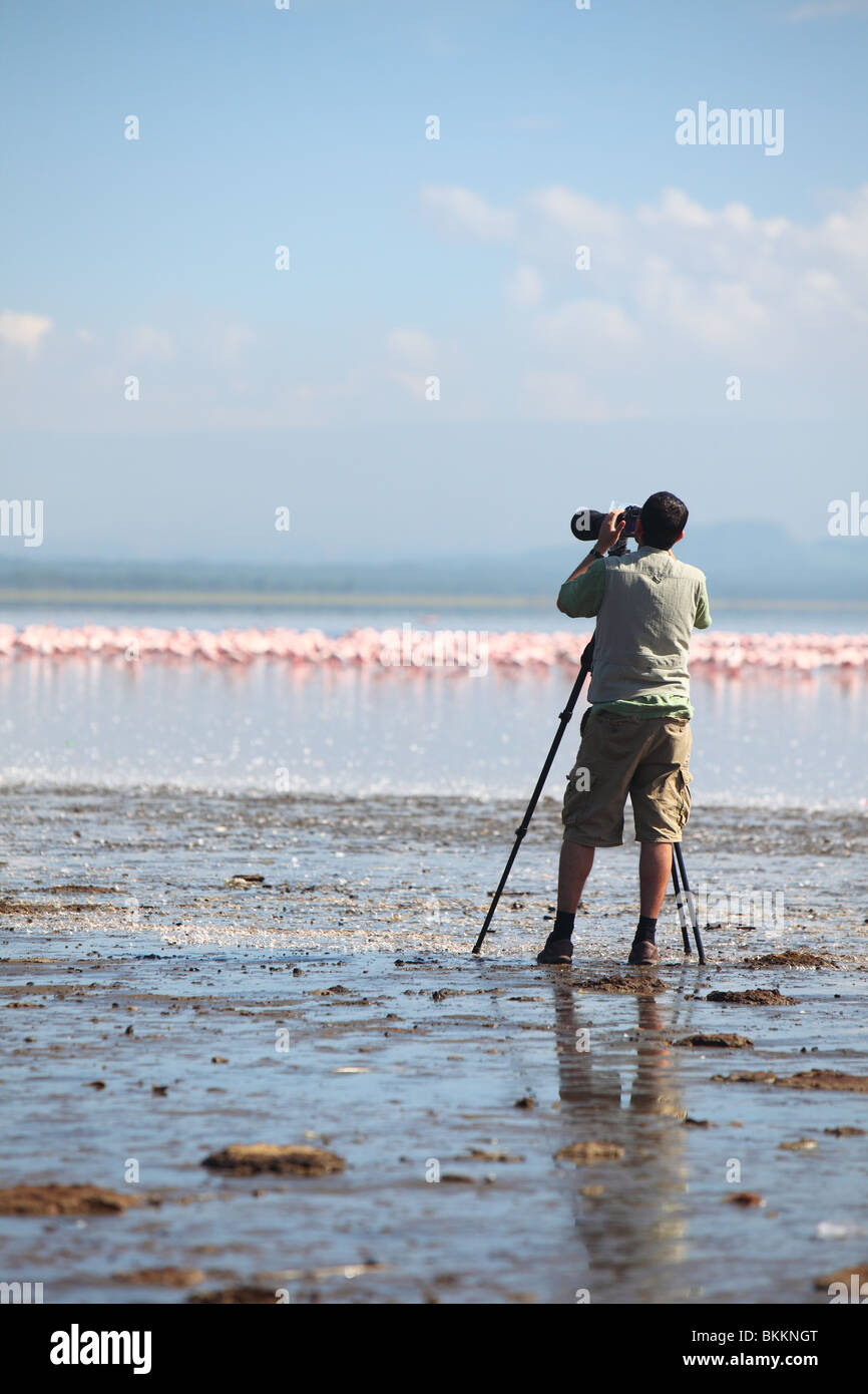 Kenya, Lake Nakuru National Park, safari, auto e, turistico, fotografia Foto Stock