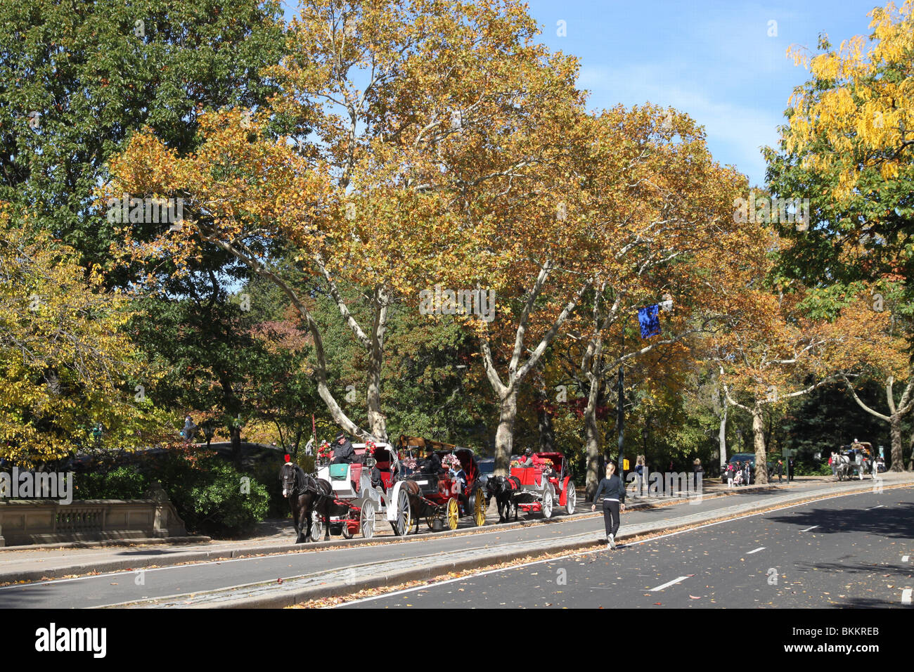 New York City Central Park carrozze trainate da cavalli Foto Stock