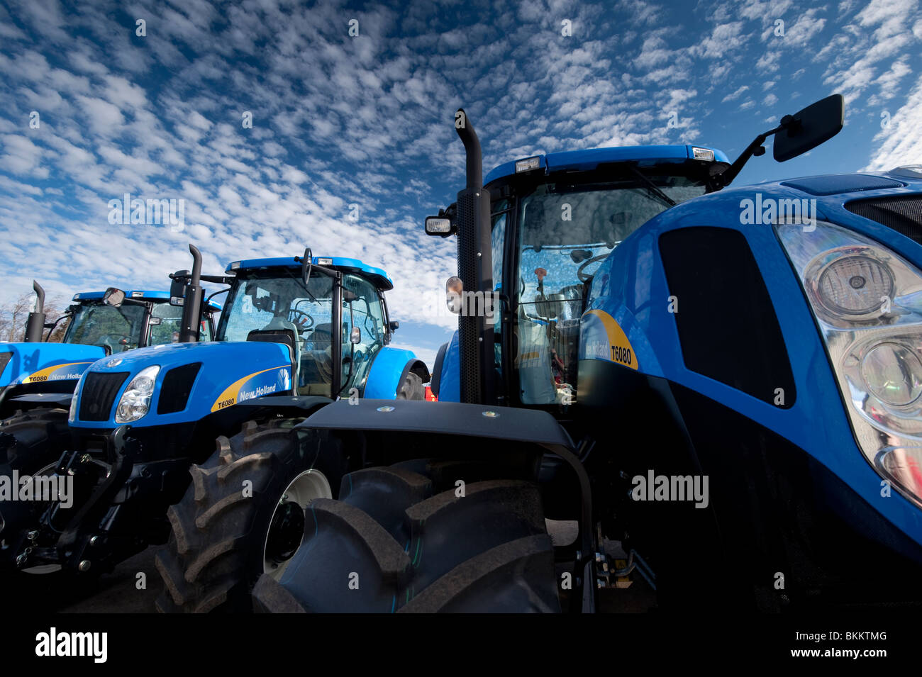 Macchine agricole - Macchine nuove in vendita presso la Lloyds Kelso Scozia - New Holland T6080 trattori Foto Stock
