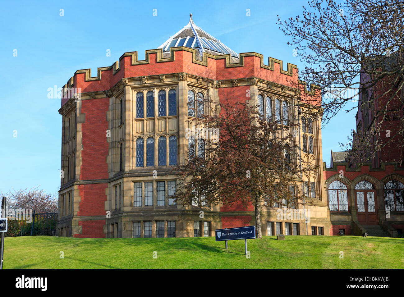 Università di Sheffield, Firth corte, Sheffield South Yorkshire, Inghilterra, Regno Unito. Foto Stock