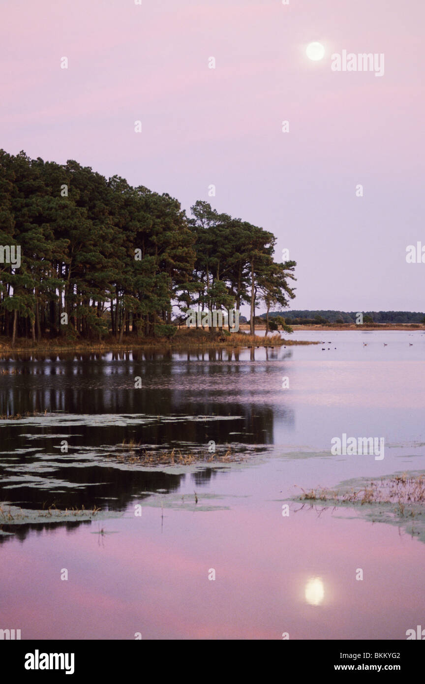 Chinocoteague National Wildlife Refuge, tramonto, Virginia, Stati Uniti d'America. Foto Stock