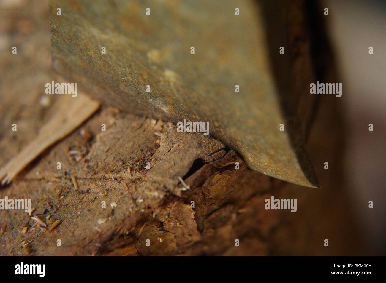 Ax bloccato al registro di legno Foto Stock