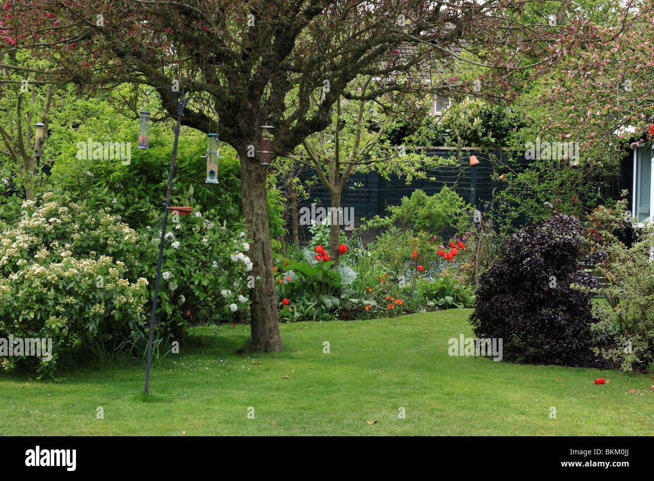 Il tempo primaverile in un giardino inglese Foto Stock