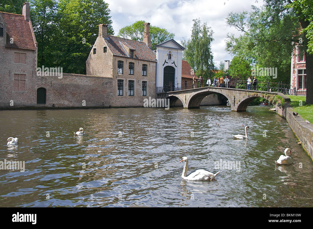Supporto di persone su un ponte ammirando una vista dei cigni nell'acqua nel mezzo di architettura storica di Bruges, Belgio Foto Stock