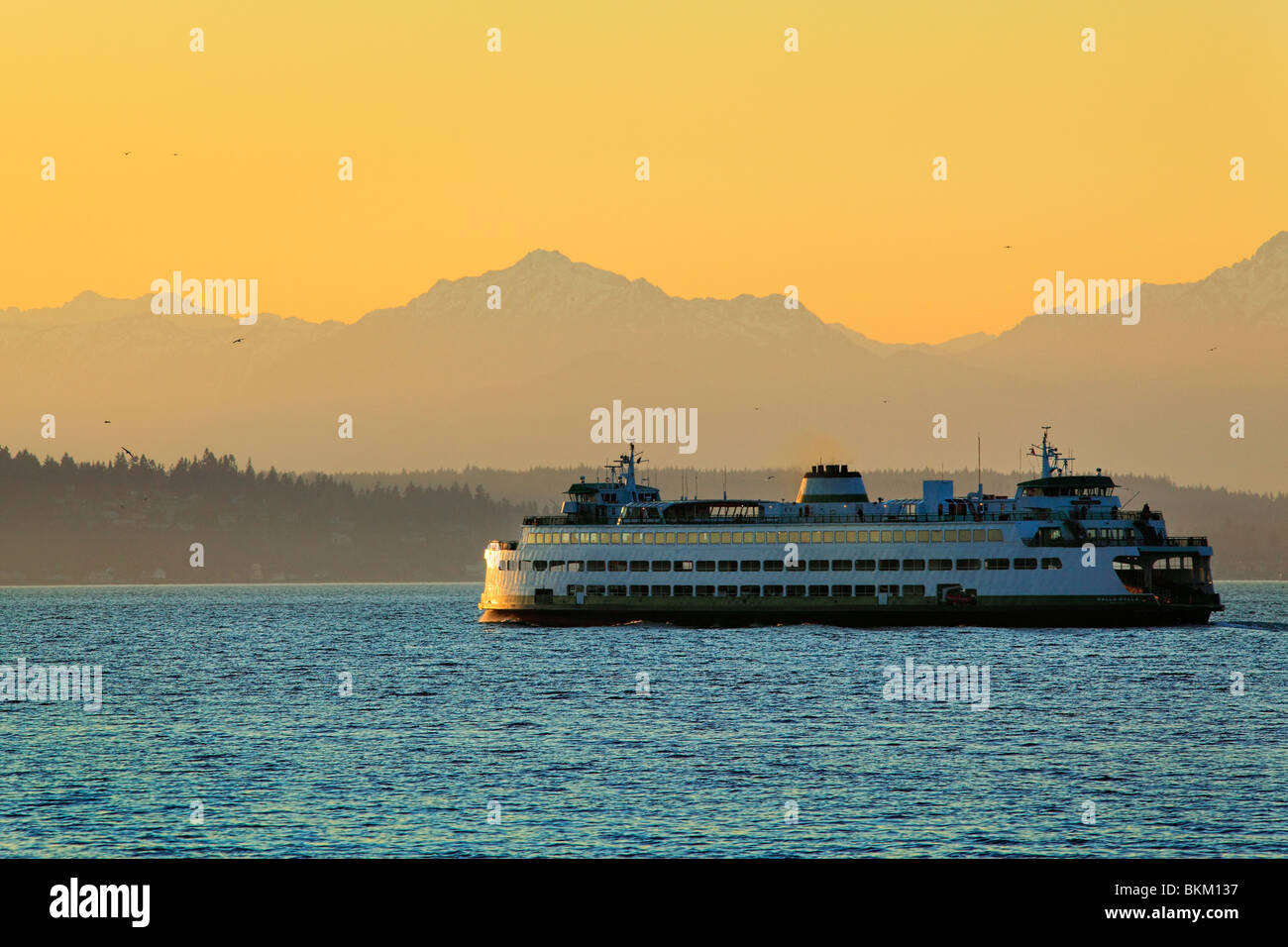 Stato di Washington il traghetto a Elliott Bay con le montagne olimpiche in distanza Foto Stock