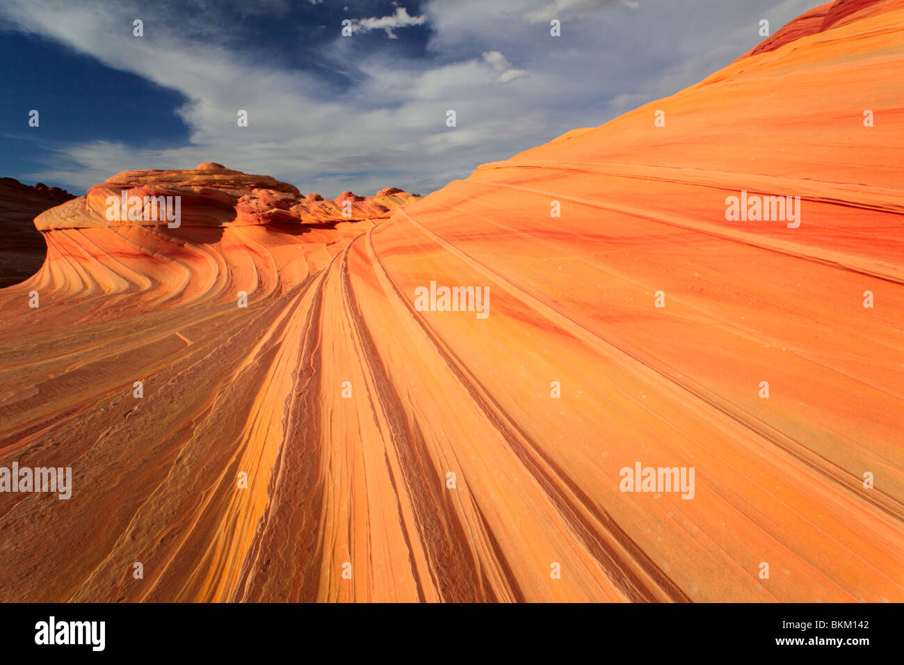 Erosi formazioni arenarie in Vermiglio scogliere monumento nazionale, Arizona Foto Stock