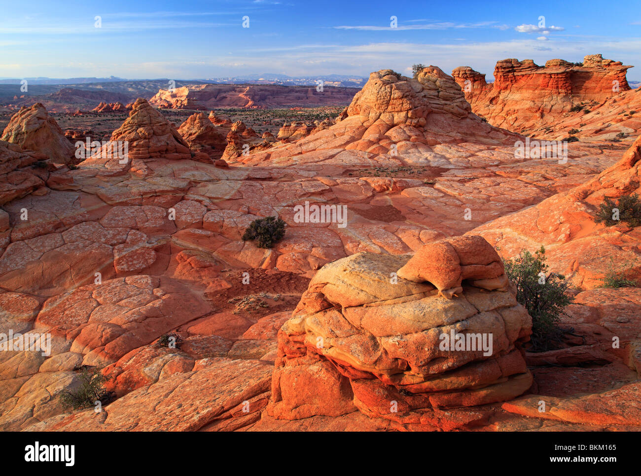 Le formazioni rocciose in Vermiglio scogliere monumento nazionale, Arizona Foto Stock