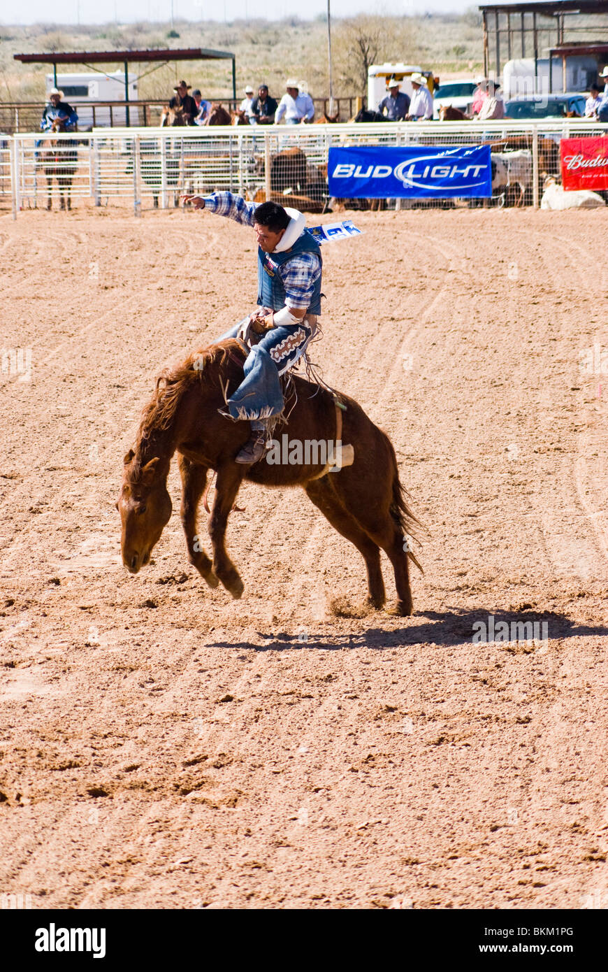 Un cowboy compete in bareback riding evento durante l'O'Odham Tash tutti-indian rodeo Foto Stock