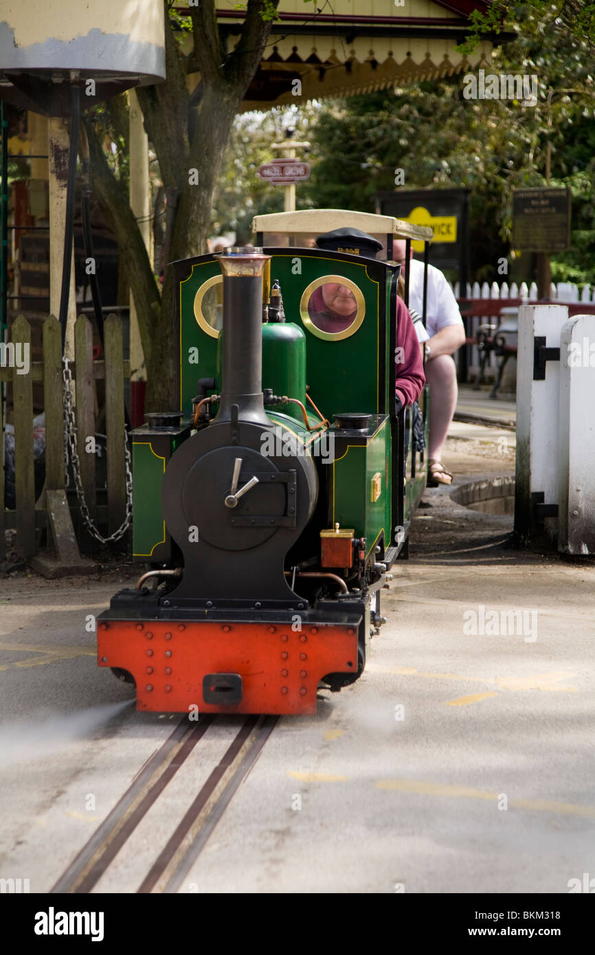 Miniatura / modello a scartamento ridotto locomotore ferroviario treno a vapore a Brookside Centro giardino, Poynton. Cheshire. Regno Unito. Foto Stock