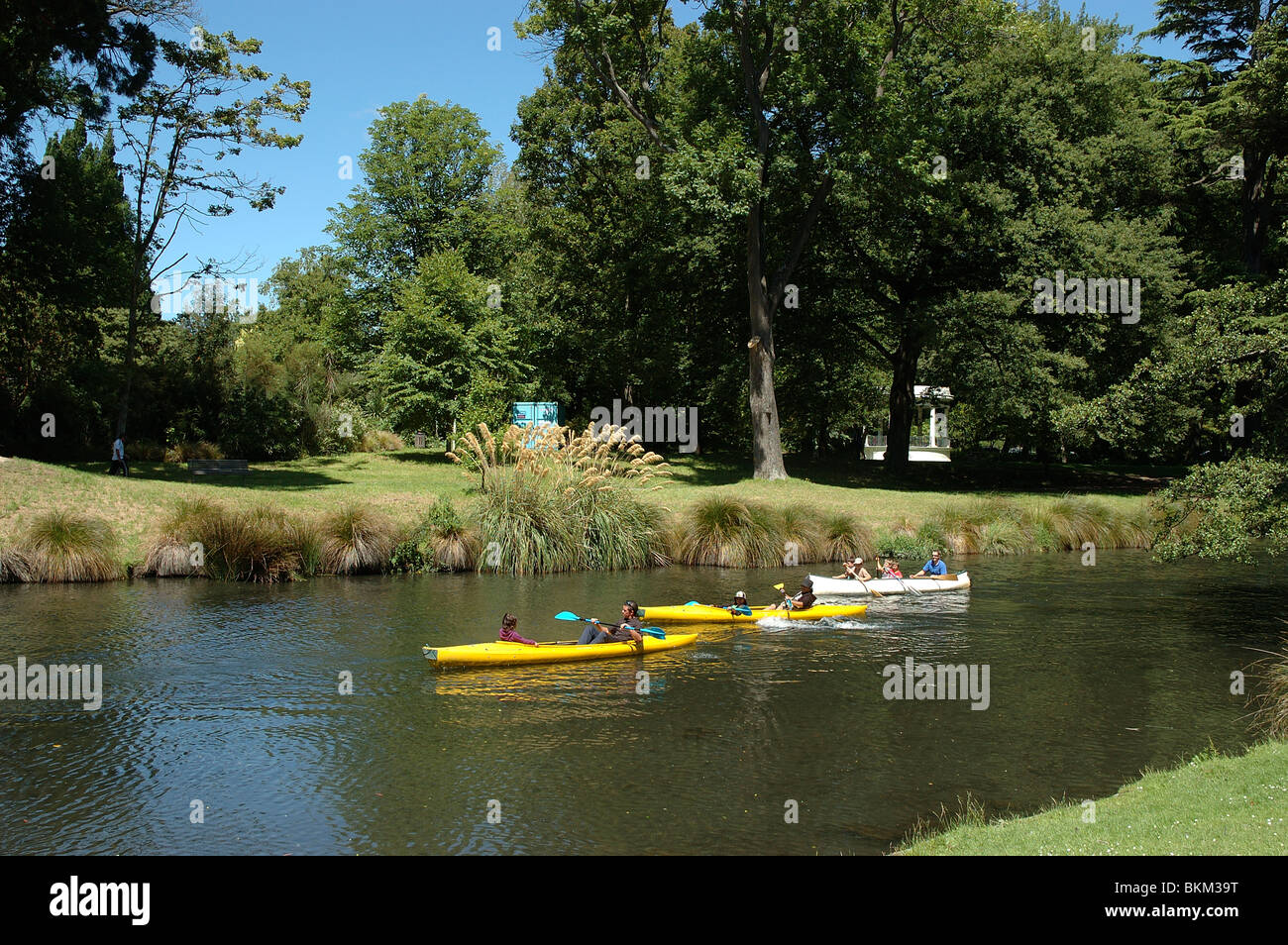 3 canoe vela sul fiume Avon, Christchurch, Canterbury, Isola del Sud, Nuova Zelanda Foto Stock