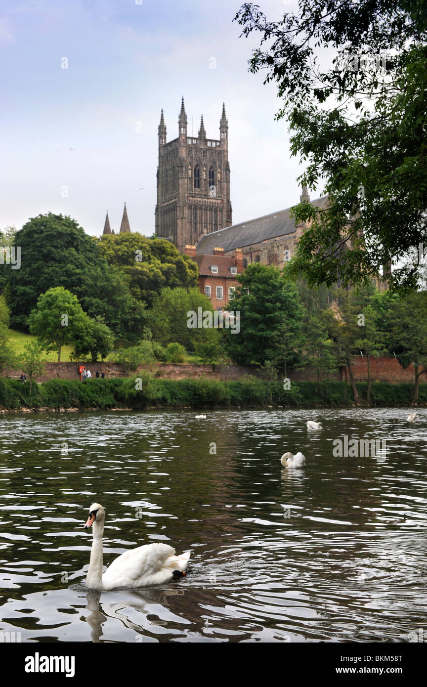 Cattedrale di Worcester sulle rive del fiume Severn WORCESTERSHIRE REGNO UNITO Foto Stock