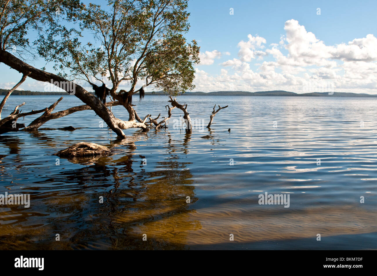 Myall Lago, NSW, Australia Foto Stock