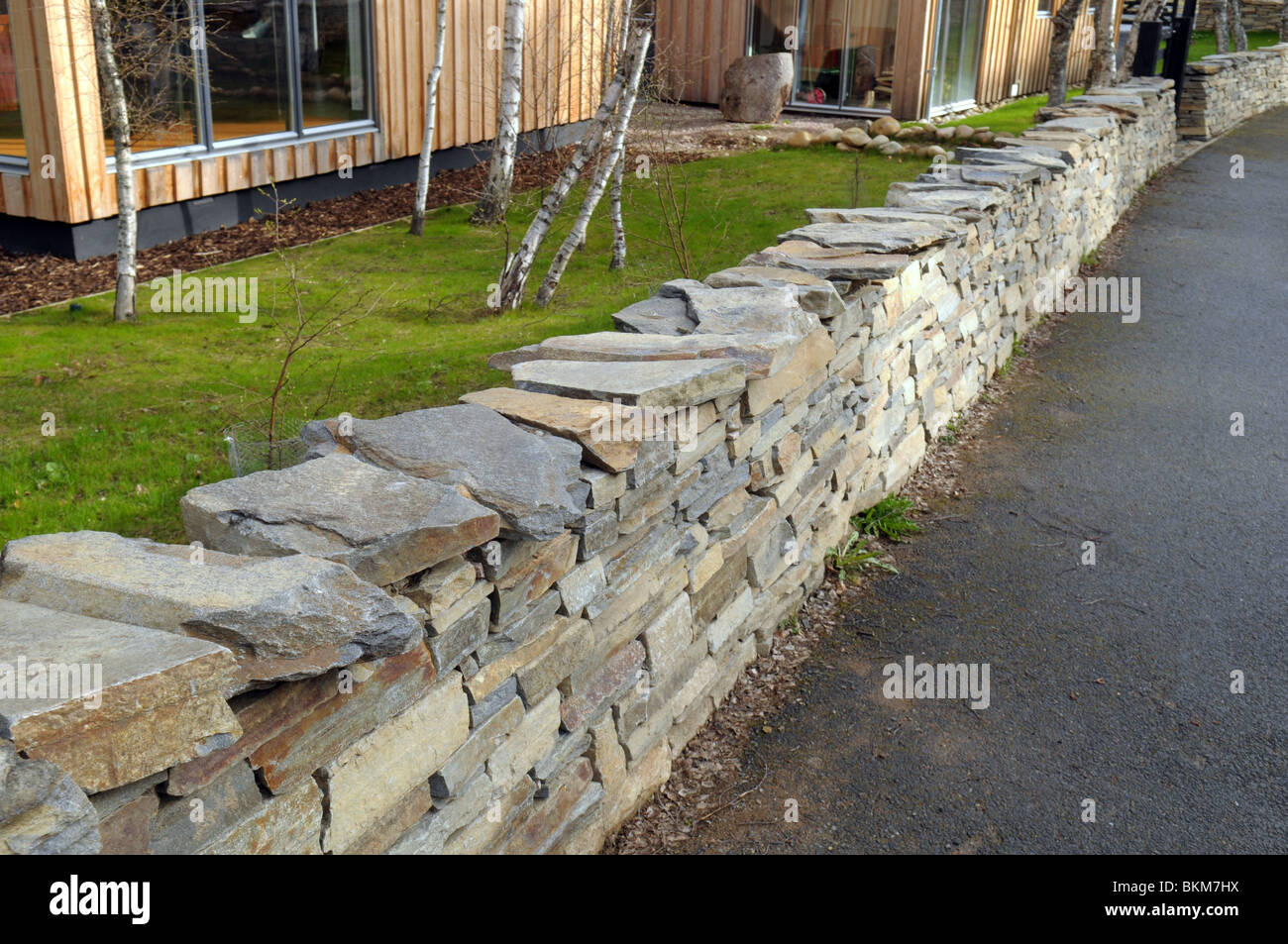 Moderno stalattite parete nella zona di conservazione di Scozia Foto Stock