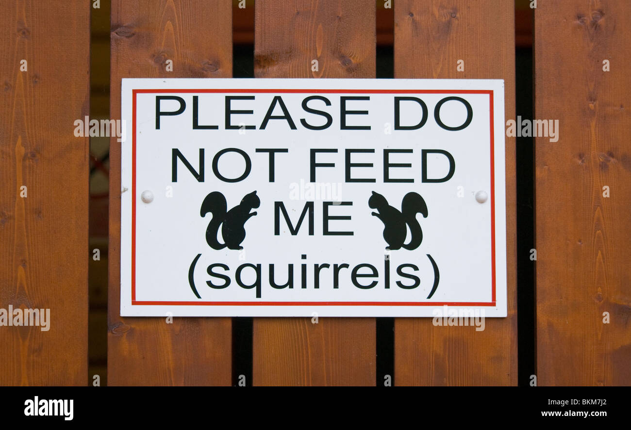 Si prega di non alimentare gli scoiattoli segno su una staccionata in legno sfondo. Foto Stock