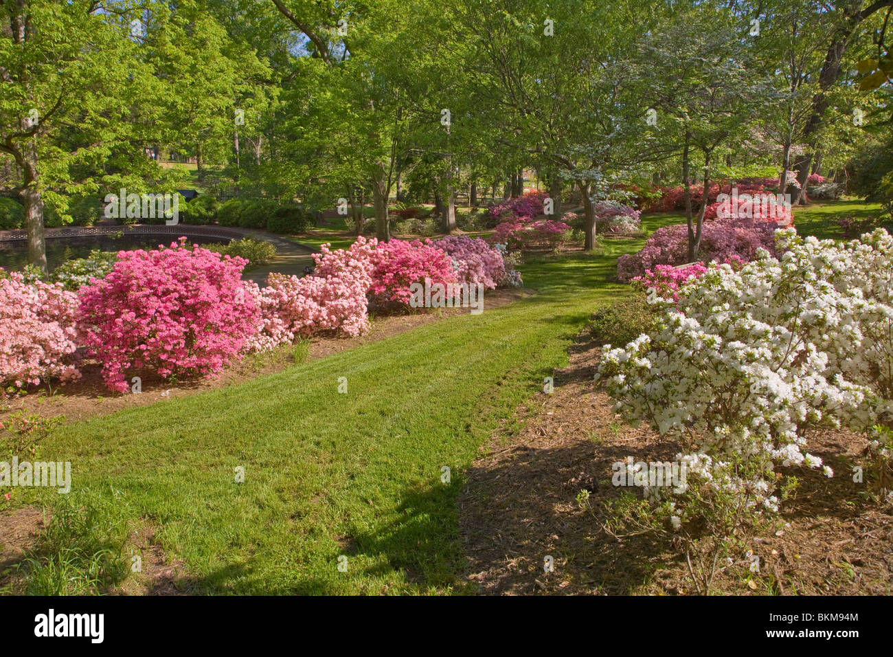 Glencairn giardino in collina della roccia Carolina del Sud Foto Stock