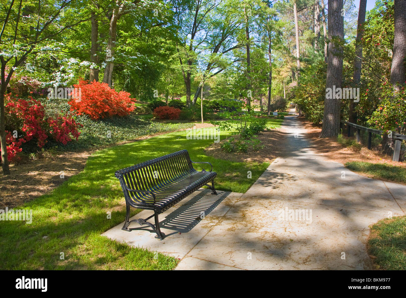 Glencairn giardino in collina della roccia Carolina del Sud Foto Stock