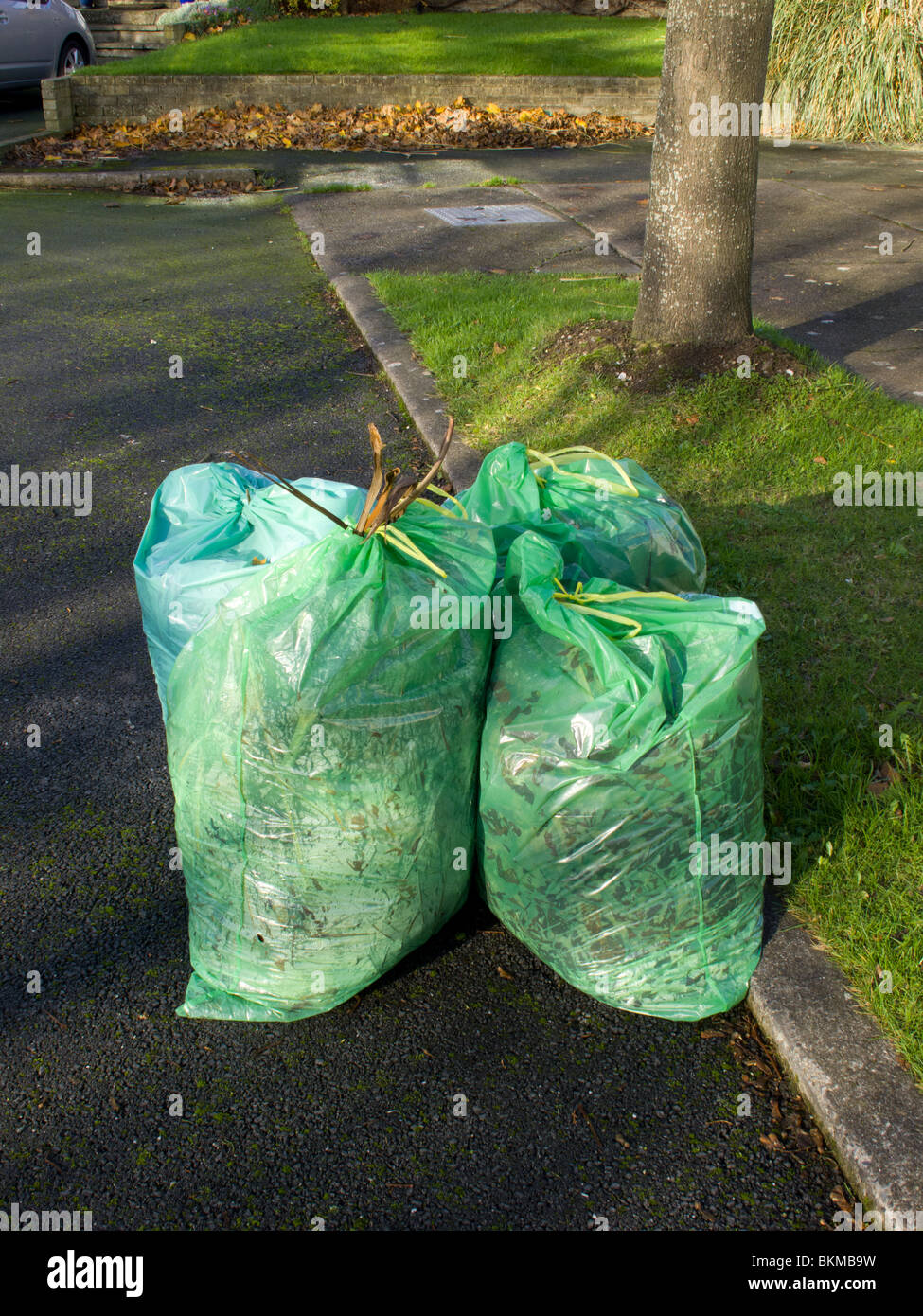 Tre verde sacchetti in plastica riciclabile di scarti da giardino Foto Stock