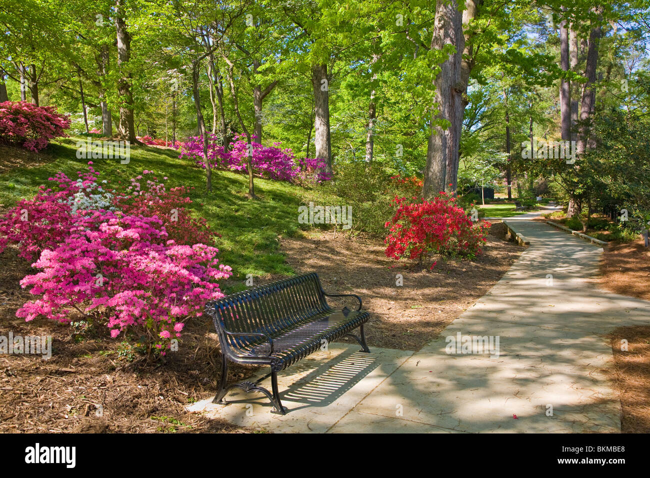 Glencairn giardino in collina della roccia Carolina del Sud Foto Stock