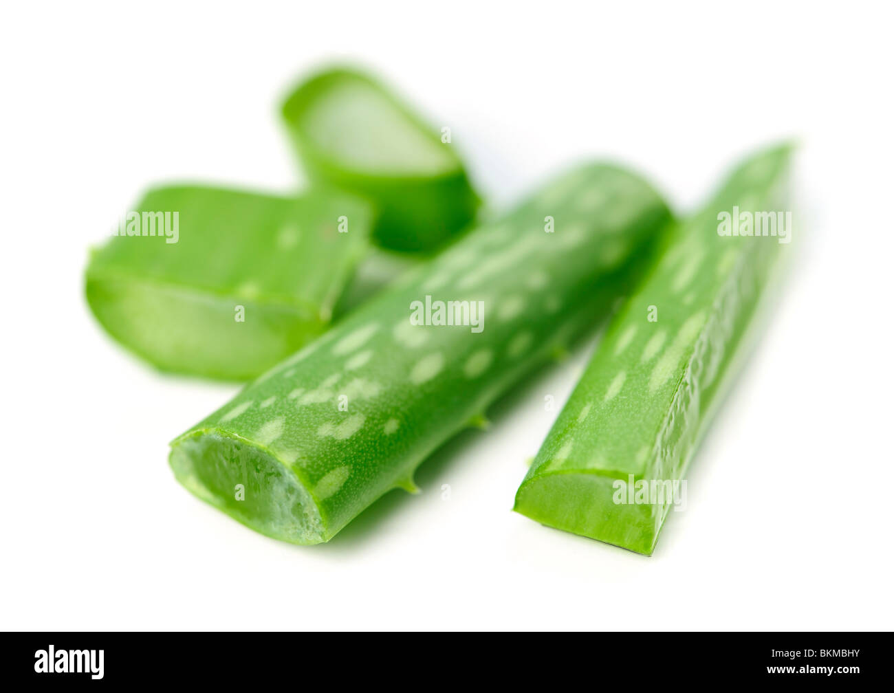Primo piano di aloe vera pianta pezzi isolati su sfondo bianco Foto Stock