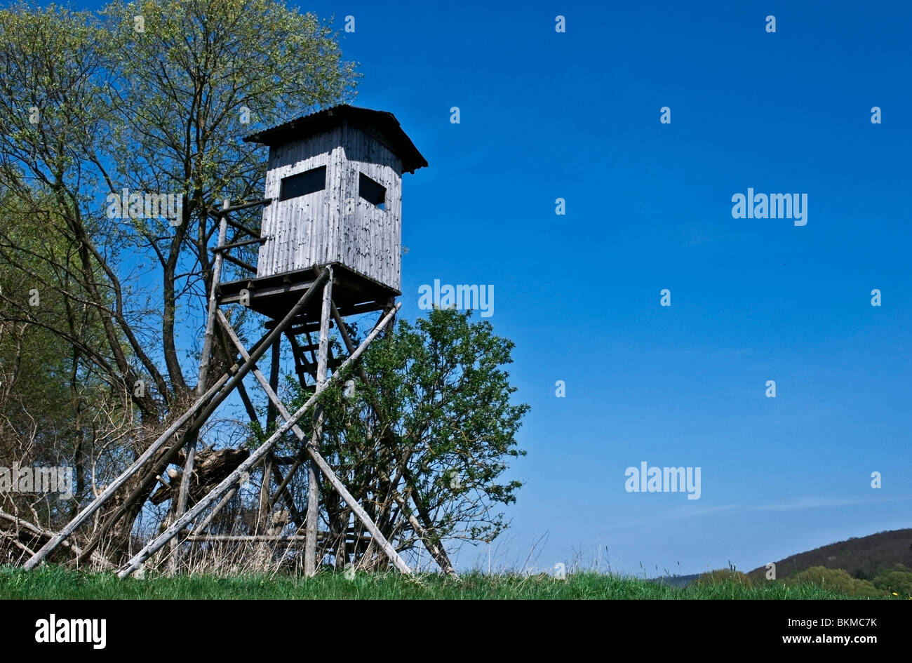 Paesaggio tedesco che mostra una torre per il bird-watching circondato da alberi in una valle contro il cielo blu Foto Stock