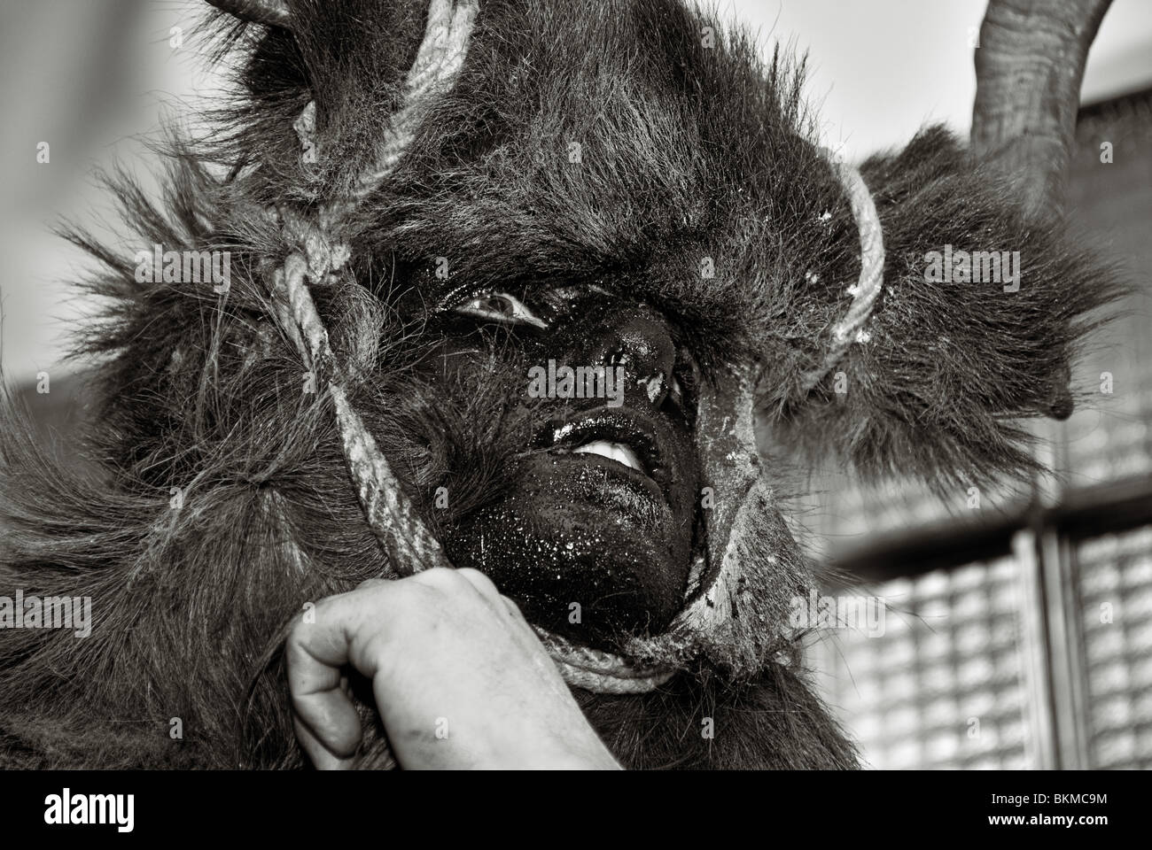 Fotografia scattata durante il carnevale di Bielsa. Bielsa, Pirenei, Aragona, Spagna. Foto Stock